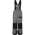 Load image into Gallery viewer, Bolt Ski Pants
